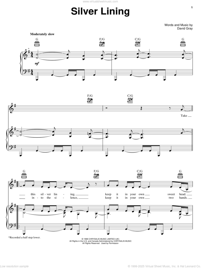 Silver Lining sheet music for voice, piano or guitar by Bonnie Raitt and David Gray, intermediate skill level