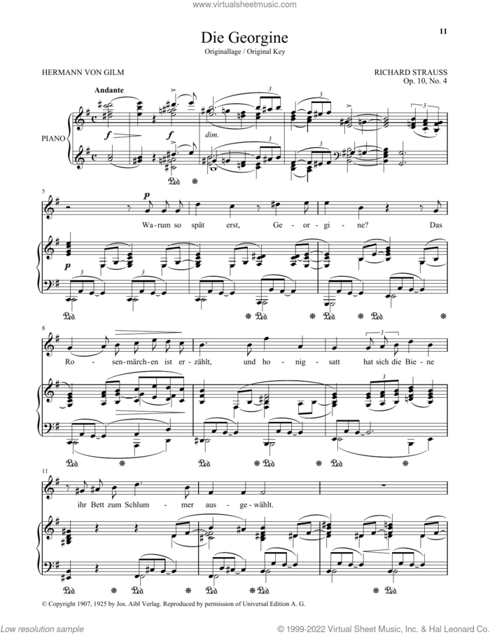Die Georgine (High Voice) sheet music for voice and piano (High Voice) by Richard Strauss and Hermann von Gilm, classical score, intermediate skill level