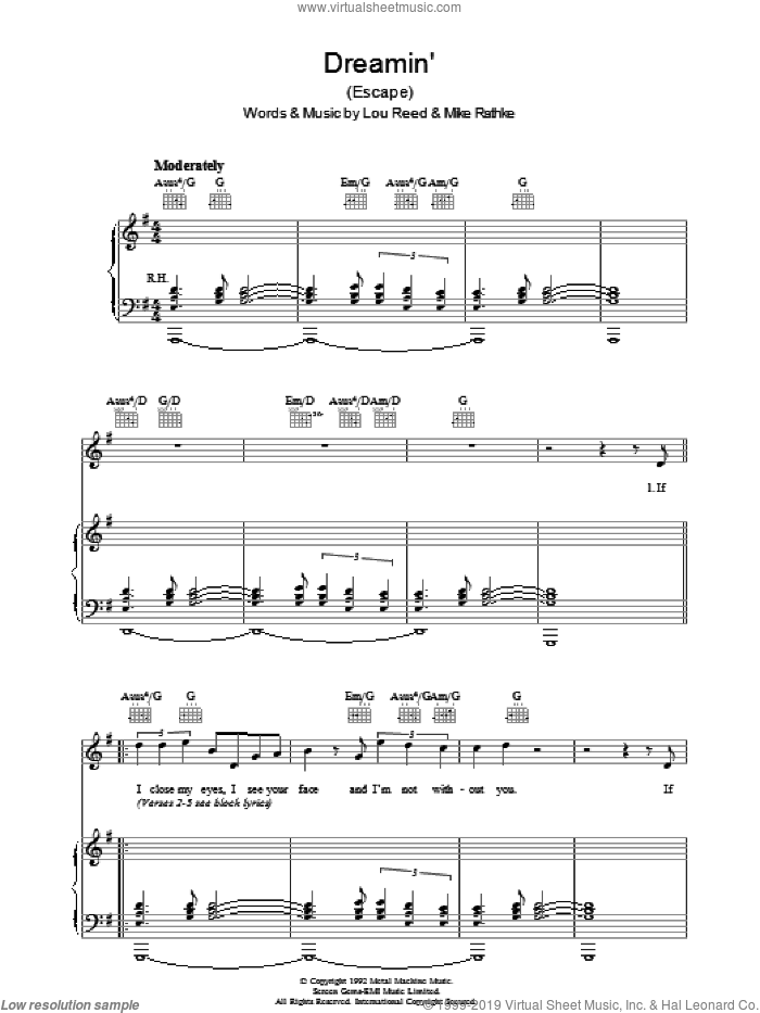 Dreamin' sheet music for voice, piano or guitar by Lou Reed and Michael Rathke, intermediate skill level