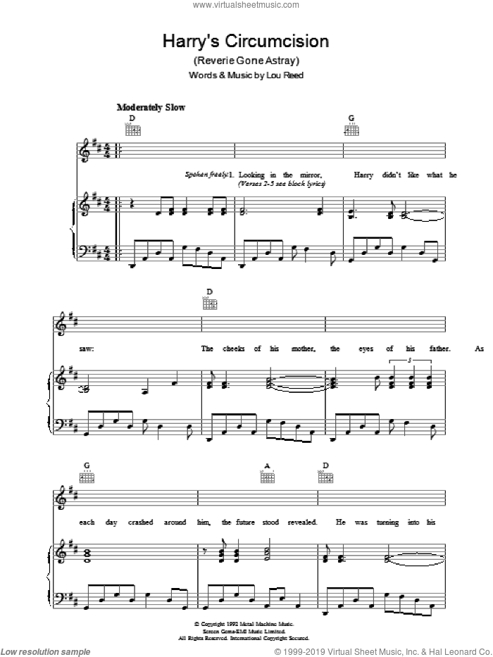 Harry's Circumcision sheet music for voice, piano or guitar by Lou Reed, intermediate skill level