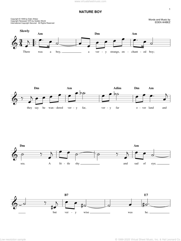 Nature Boy sheet music for voice and other instruments (fake book) by Nat King Cole and Eden Ahbez, easy skill level