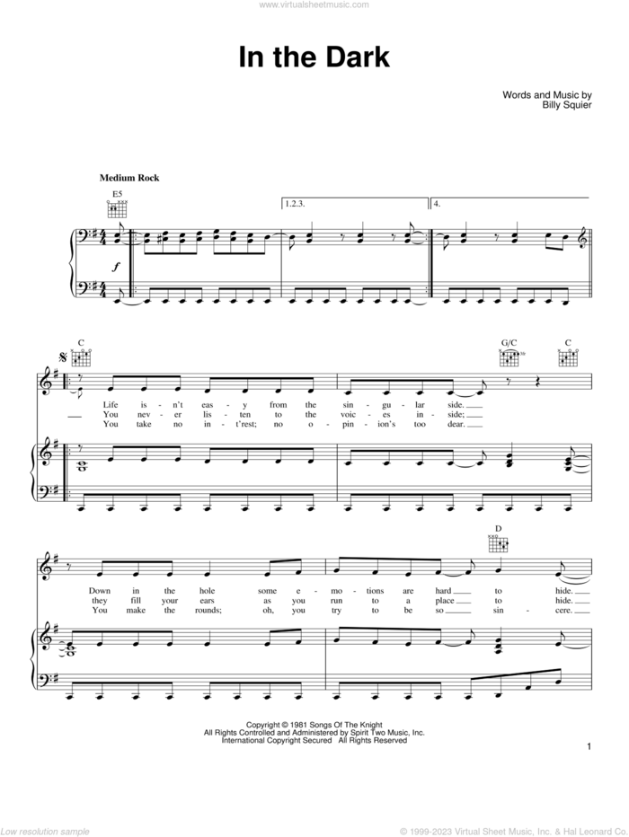In The Dark sheet music for voice, piano or guitar by Billy Squier, intermediate skill level