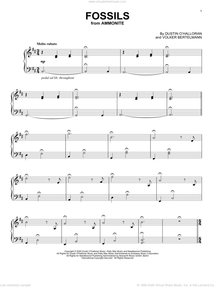 One Piece Film Z Intro Sheet music for Flute (Solo)