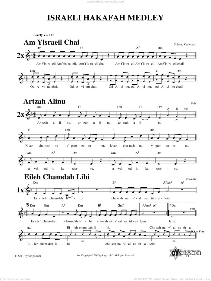 Israeli Hakafah Medley sheet music for voice and other instruments (fake book) by Shlomo Carlebach and Rabbi Shlomo Carlebach, intermediate skill level