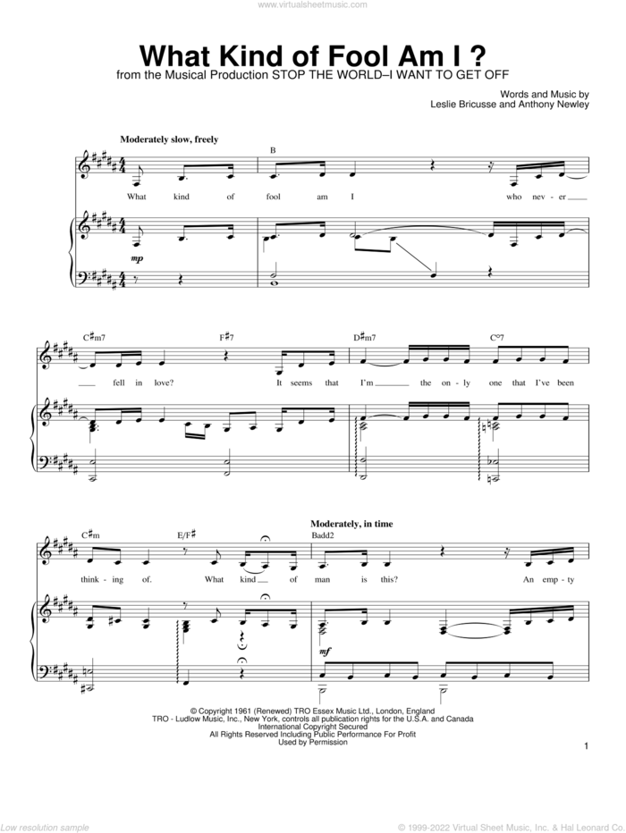 What Kind Of Fool Am I? sheet music for voice, piano or guitar by Linda Eder, Anthony Newley and Leslie Bricusse, intermediate skill level