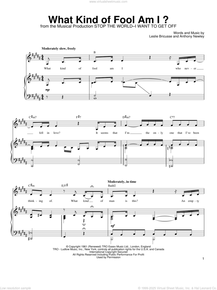 What Kind Of Fool Am I? sheet music for voice, piano or guitar by Linda Eder, Anthony Newley and Leslie Bricusse, intermediate skill level