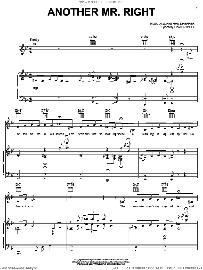 Another Mr. Right sheet music for voice, piano or guitar by David Zippel, Lisa Richard and Jonathan Sheffer, intermediate skill level