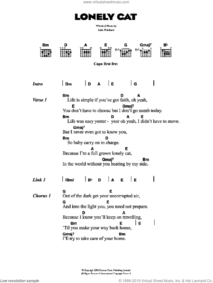 Lonely Cat sheet music for guitar (chords) by The Kooks and Luke Pritchard, intermediate skill level
