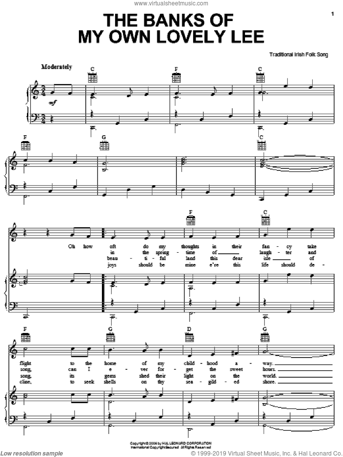Partitions Faciles Tin Whistle Irlandais - 30 Chansons Populaires Pour Débutants - Notes Lettres + Audio Gratuit