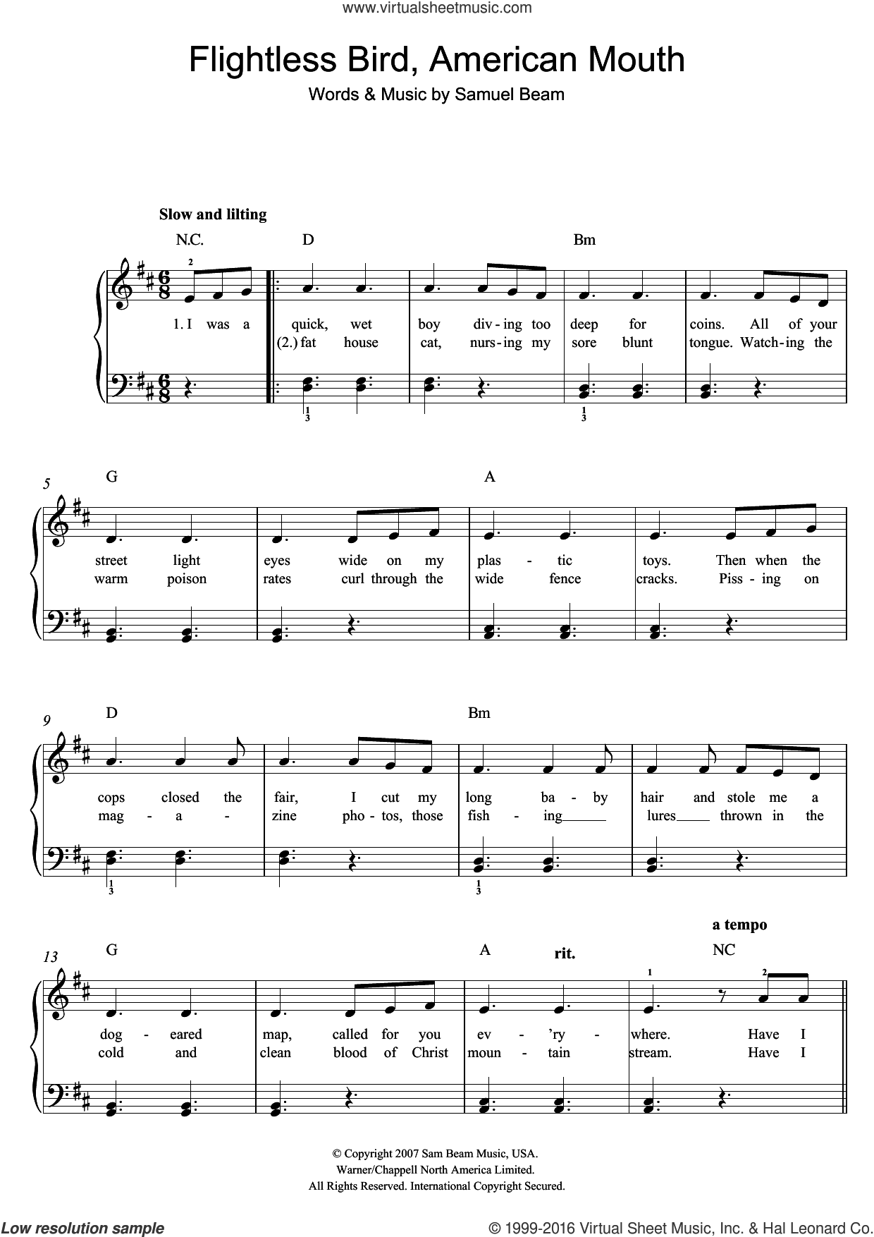 Flightless Bird, American Mouth sheet music for guitar (chords)