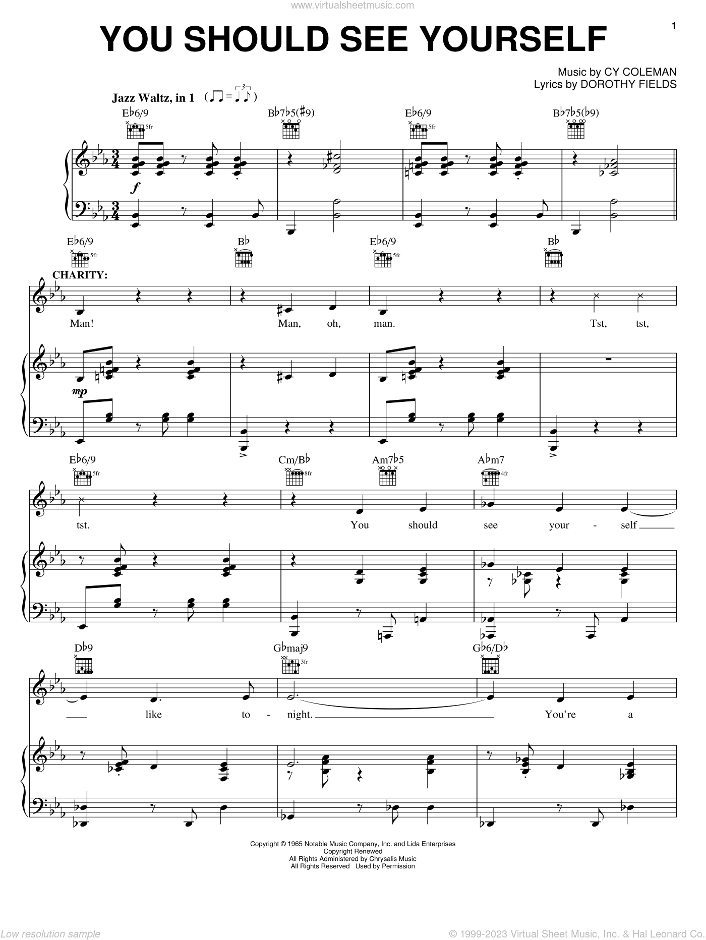 You Should See Yourself sheet music for voice, piano or guitar