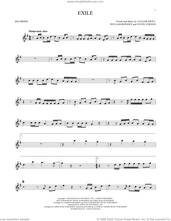 Cover icon of exile (feat. Bon Iver) sheet music for recorder solo by Taylor Swift, Justin Vernon and William Bowery, intermediate skill level