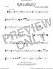 Cover icon of I Will Remember You sheet music for recorder solo by Sarah McLachlan, Dave Merenda and Seamus Egan, intermediate skill level