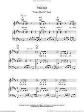 Cover icon of Padlock sheet music for voice, piano or guitar by M People, intermediate skill level