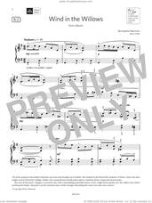 Cover icon of Wind in the Willows (Grade 5, list B2, from the ABRSM Piano Syllabus 2023 and 2024) sheet music for piano solo by Bernadette Marmion, classical score, intermediate skill level