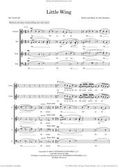 Cover icon of Little Wing (arr. Sam Burns) sheet music for choir (SSAATB) by Jimi Hendrix and Sam Burns, intermediate skill level