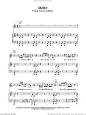 Cover icon of Shelter sheet music for voice, piano or guitar by Brand New Heavies, intermediate skill level