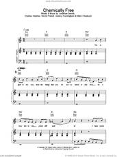 Cover icon of Chemically Free sheet music for voice, piano or guitar by The Levellers, intermediate skill level