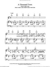 Cover icon of A Thousand Trees sheet music for voice, piano or guitar by Stereophonics, intermediate skill level