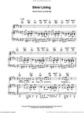 Cover icon of Silver Lining sheet music for voice, piano or guitar by David Gray, intermediate skill level