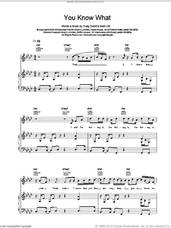 Cover icon of You Know What sheet music for voice, piano or guitar by Craig David, intermediate skill level