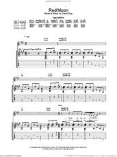 Cover icon of Red Moon sheet music for guitar (tablature) by David Gray, intermediate skill level