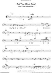 Cover icon of I Got You (I Feel Good) sheet music for voice and other instruments (fake book) by James Brown, intermediate skill level