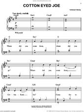 Cover icon of Cotton Eyed Joe sheet music for piano solo, easy skill level
