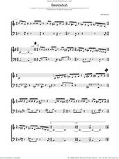 Cover icon of Beelzebub sheet music for piano solo by Bill Bruford, intermediate skill level