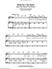 Cover icon of What Do I Do Now? sheet music for piano solo by Charles Miller and Kevin Hammonds, easy skill level