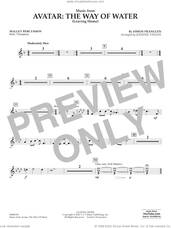 Cover icon of Music from Avatar: The Way Of Water (Leaving Home) (arr. Vinson) sheet music for concert band (mallet percussion) by Simon Franglen and Johnnie Vinson, intermediate skill level