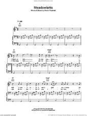 Cover icon of Meadowlarks sheet music for voice, piano or guitar by Fleet Foxes and Robin Pecknold, intermediate skill level