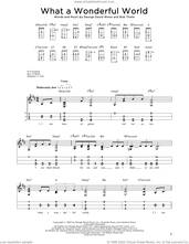 Cover icon of What A Wonderful World (arr. Steven B. Eulberg) sheet music for dulcimer solo by Louis Armstrong, Steven B. Eulberg, Bob Thiele and George David Weiss, intermediate skill level