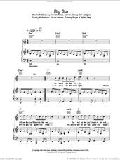 Cover icon of Big Sur sheet music for voice, piano or guitar by The Thrills, intermediate skill level
