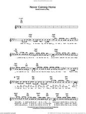 Cover icon of Never Coming Home sheet music for voice and other instruments (fake book) by Sting, intermediate skill level