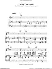 Cover icon of You're The Storm sheet music for voice, piano or guitar by The Cardigans, intermediate skill level