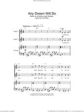Cover icon of Any Dream Will Do (arr. Rick Hein) sheet music for choir (2-Part) by Andrew Lloyd Webber, Rick Hein and Tim Rice, intermediate duet