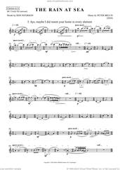 Cover icon of The Rain at Sea (Parts) (complete set of parts) sheet music for orchestra/band by Peter Bruun, classical score, intermediate skill level