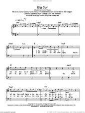 Cover icon of Big Sur sheet music for piano solo by The Thrills, Ben Carrigan, Conor Deasy, Daniel Ryan, Kevin Horan and Padraic McMahon, easy skill level