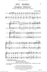 Cover icon of Ave Maria sheet music for choir (TTB: tenor, bass) by Franz Biebl, intermediate skill level