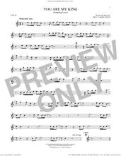 Cover icon of You Are My King (Amazing Love) sheet music for violin solo by Newsboys, Passion and Billy Foote, intermediate skill level