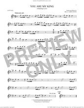 Cover icon of You Are My King (Amazing Love) sheet music for alto saxophone solo by Newsboys, Passion and Billy Foote, intermediate skill level