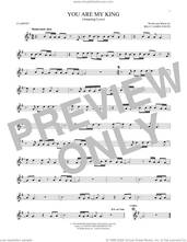 Cover icon of You Are My King (Amazing Love) sheet music for clarinet solo by Newsboys, Passion and Billy Foote, intermediate skill level