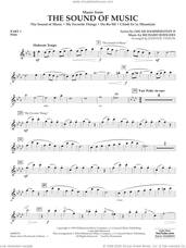 Cover icon of Music from The Sound Of Music (arr. Vinson) sheet music for concert band (pt.1 - flute) by Richard Rodgers, Johnnie Vinson, Oscar II Hammerstein and Rodgers & Hammerstein, intermediate skill level