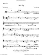 Cover icon of I Will Fly sheet music for orchestra/band (horn 3) by James Eakin III, James Eakin and Patrick Overton, intermediate skill level