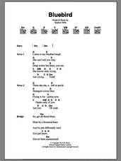 Cover icon of Bluebird sheet music for guitar (chords) by Buffalo Springfield and Stephen Stills, intermediate skill level
