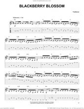 Cover icon of Blackberry Blossom sheet music for guitar solo  and Scott Fore, intermediate skill level