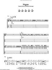 Cover icon of Pilgrim sheet music for guitar (tablature) by Wolfmother and Andrew Stockdale, intermediate skill level