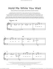 Cover icon of Hold Me While You Wait sheet music for piano solo by Lewis Capaldi, Jamie Commons and Jamie Hartman, beginner skill level