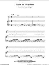 Cover icon of F***in' In The Bushes sheet music for voice, piano or guitar by Oasis and Noel Gallagher, intermediate skill level